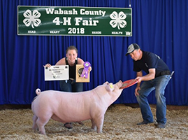Driscoll Showpigs Winners